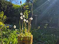 IMG-20260422-WA0026
