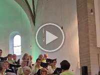 VID-20260422-WA0010